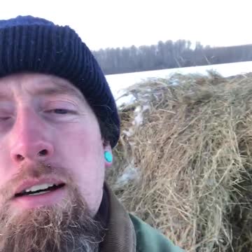 Contemplation girls...