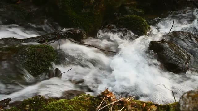 Babbling Brook 20 sec
