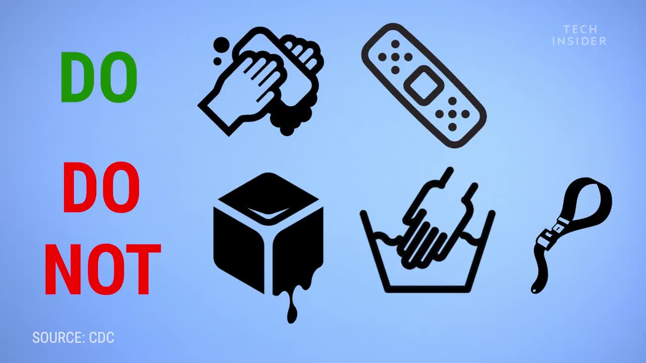 Learn How To Survive A Snake Bite