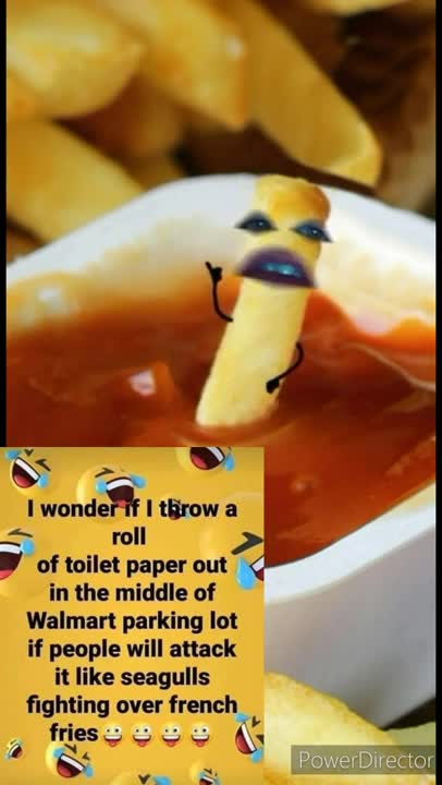 day of the life of a French fry