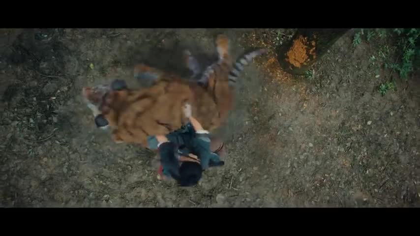 Man versus tiger
