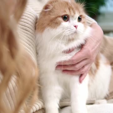 A Woman With Her Cat On The Bed--FH