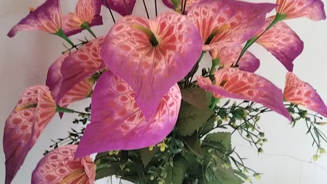 Spring pink flower