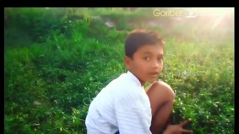 The little boy cuts grass for the cows