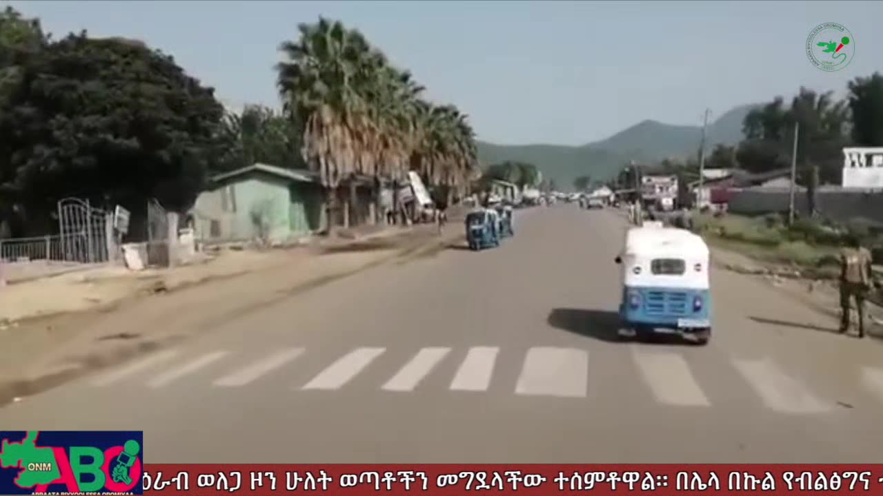 ጥቅምት 10፣ 2024 ONM-ABO እለታዊ የኦሮሞ ነፃነት ሰራዊትና የኦሮሚያ ውሎ!