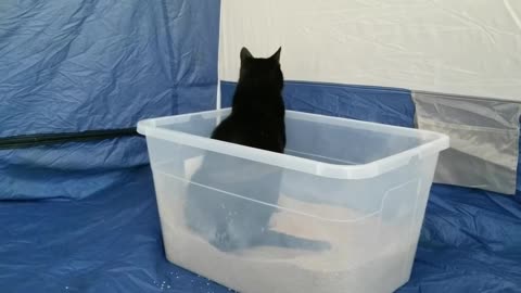 20240222 092631 Tux Litter Box