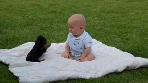 Baby playing with cuddly dog