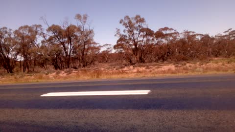 Emu far away