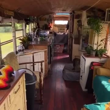 Adventure with Cute, Dogs