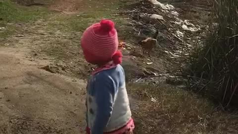 Baby Playing with hen