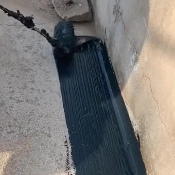 funny|prank|jokes|funny jokes|dad jokes|funny memes|funny video|fun|laughing|funny animal|knock