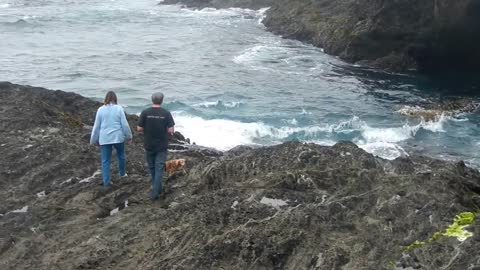 Canine visit to the Mendocino Coast