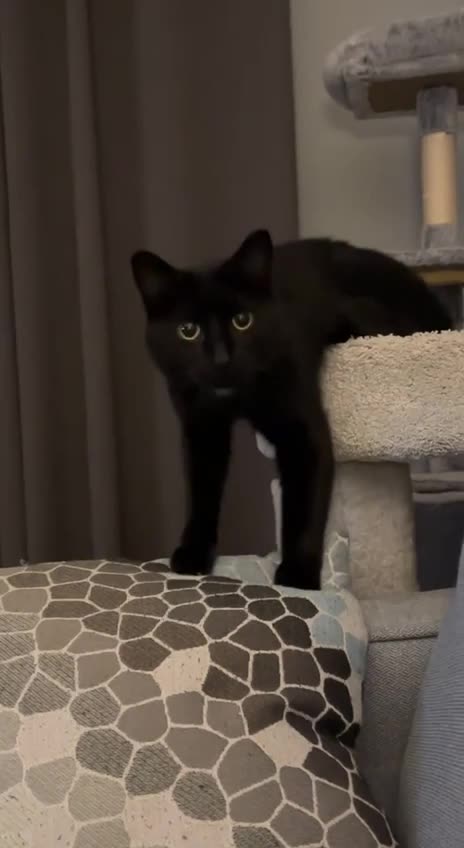 Never turn down food offerings 🤣🤣