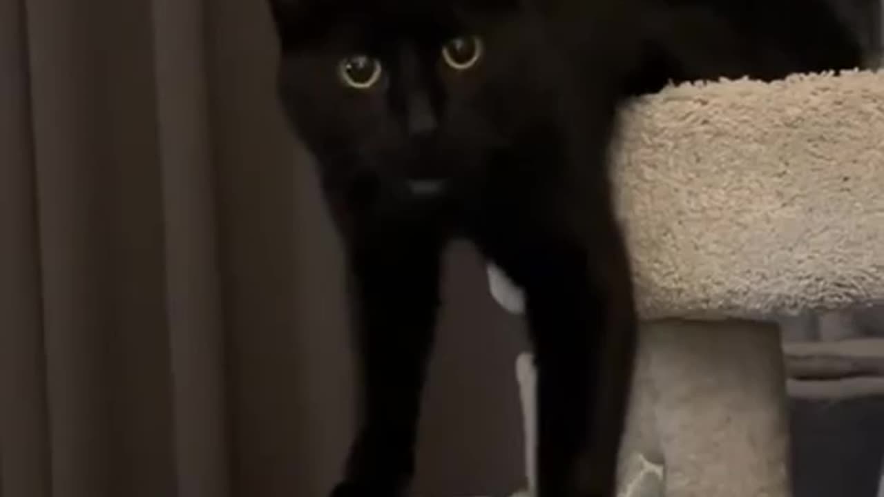 Never turn down food offerings 🤣🤣