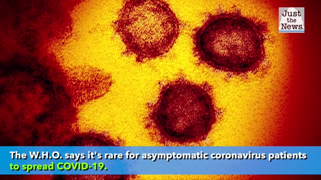 WHO doctor says asymptomatic COVID-19 transmission "appears to be rare"