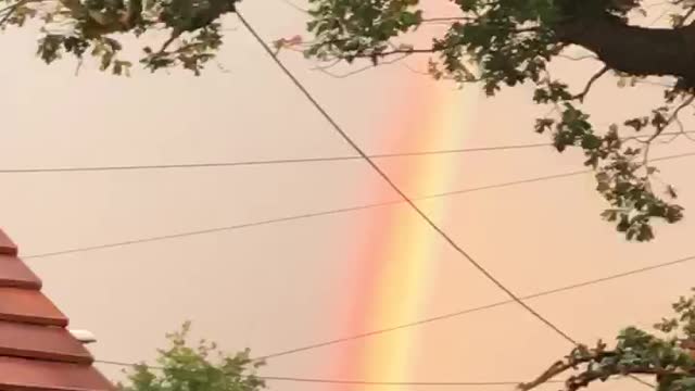 Autumn Rainbow and Berries