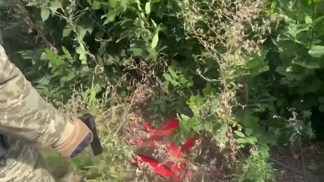 Les parachutistes de la 95e brigade ont capturé un tracteur russe MT-LB (