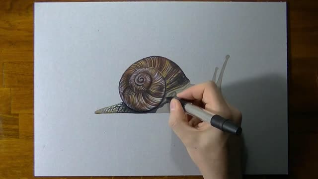 Draw The Color Of Detail In A Picture