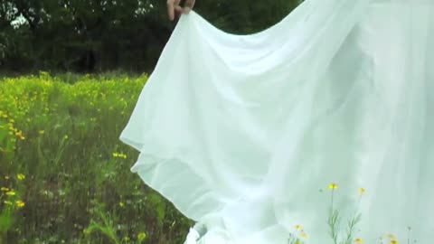 Evalion - Ophelia's Tragic Demise - European Literature