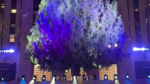 New York’s iconic Rockefeller Center Christmas Tree officially lights up. 🎄