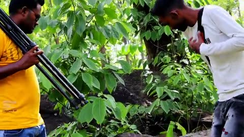 tiger attack man in the forest | tiger in jungle fun mode movie part -1