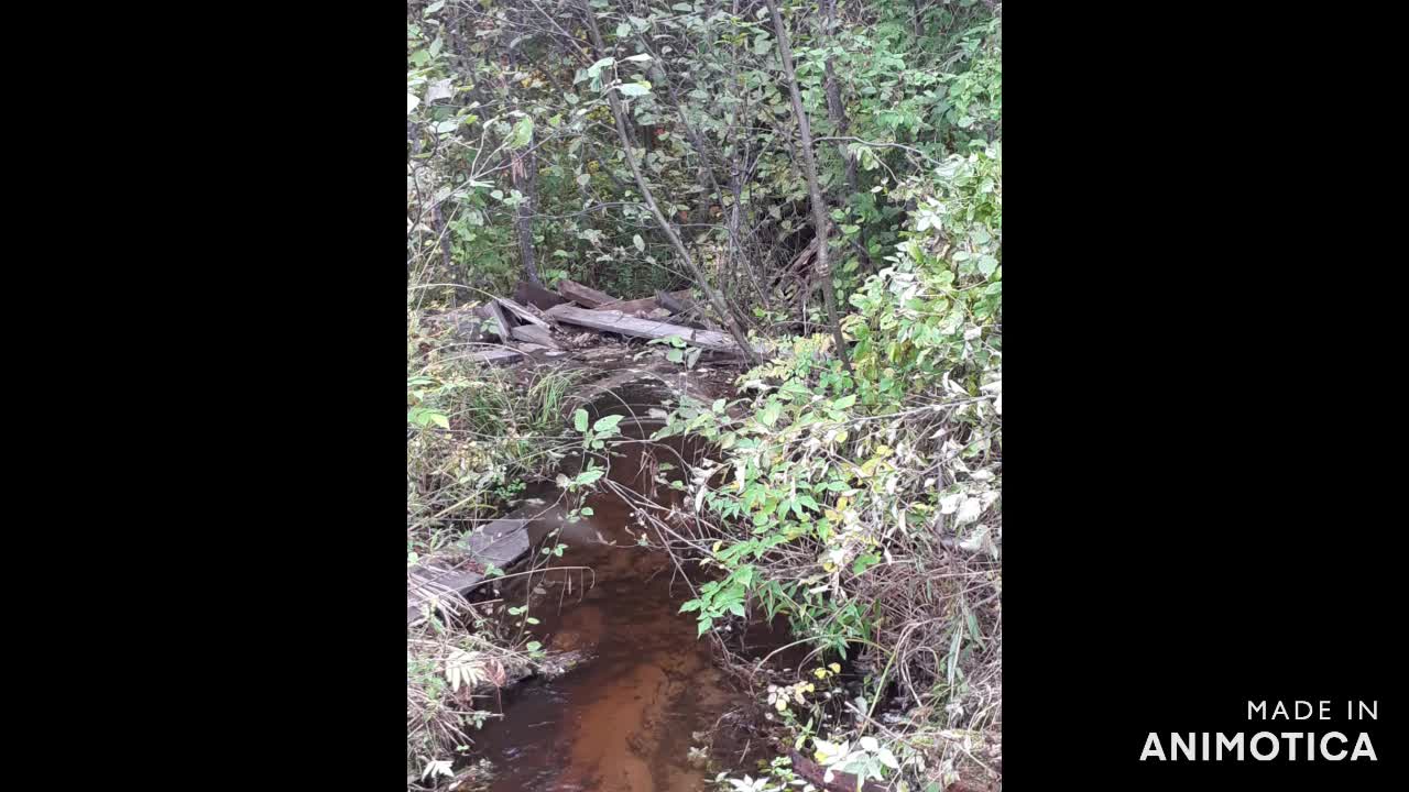The Bridge to the Camp Needs to Be Repaired