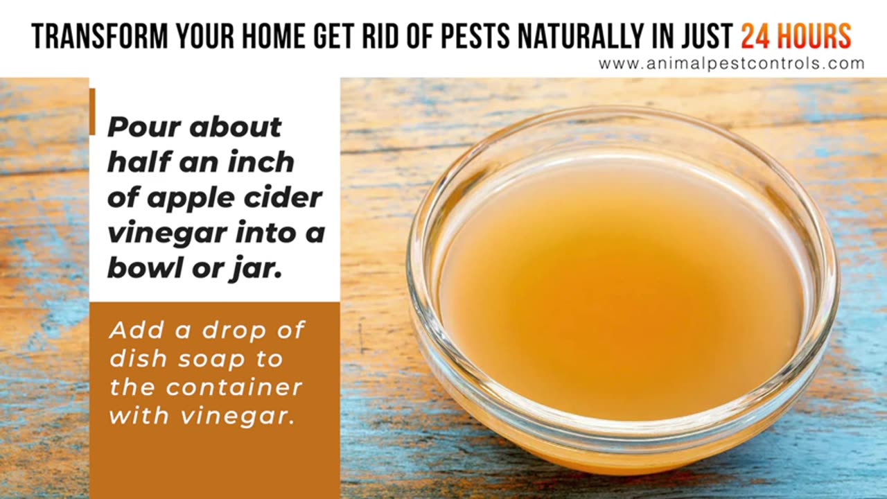 Transform Your Home - Get Rid of Pests Naturally in Just 24 Hours