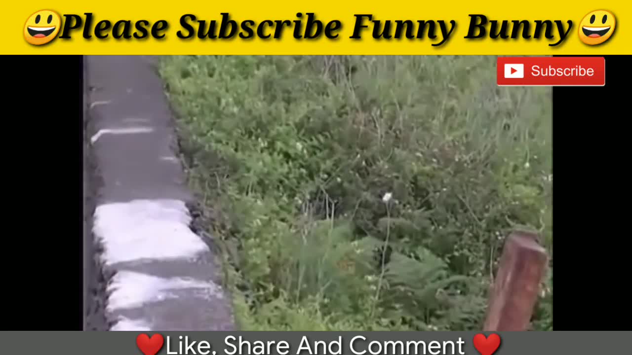 funny videos 2021 Most awesome crazy bulls fails