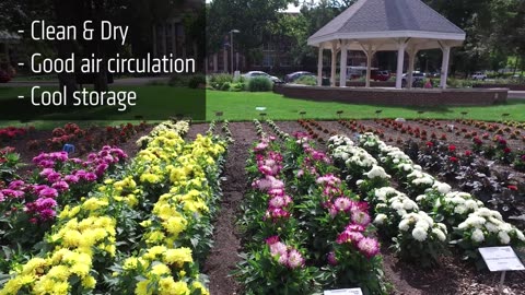 Fall Gardening Tips