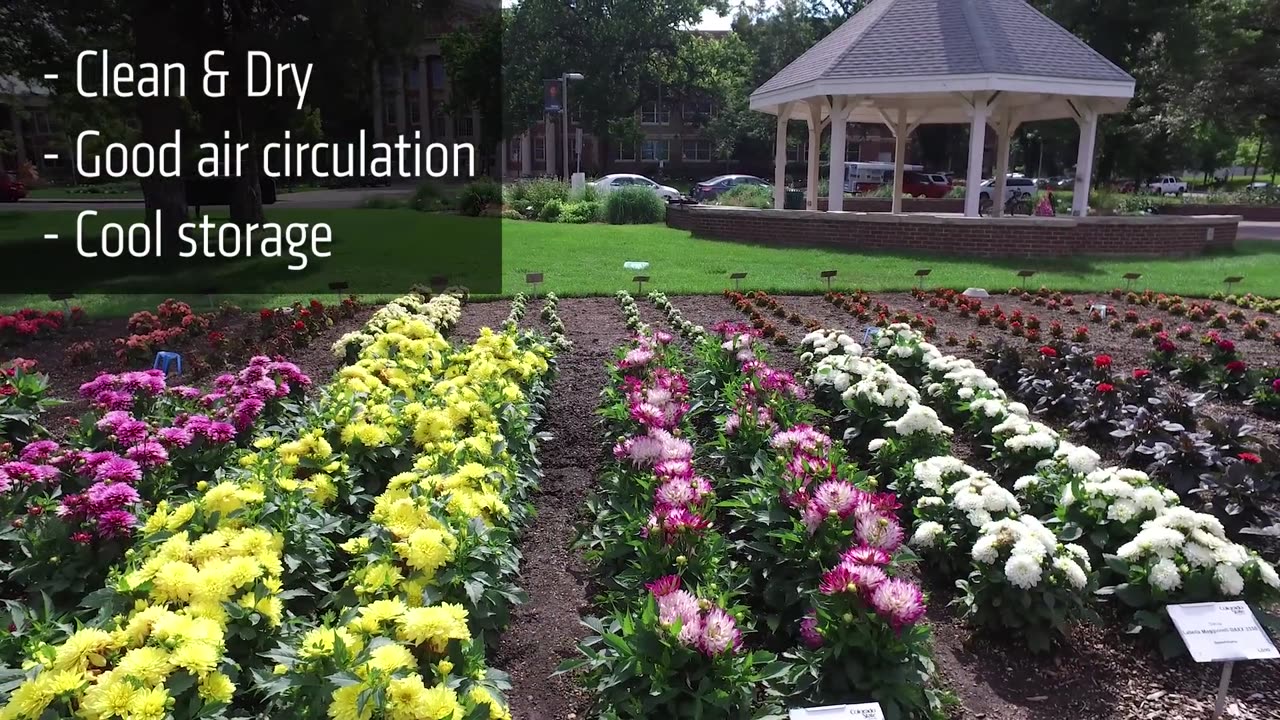Fall Gardening Tips