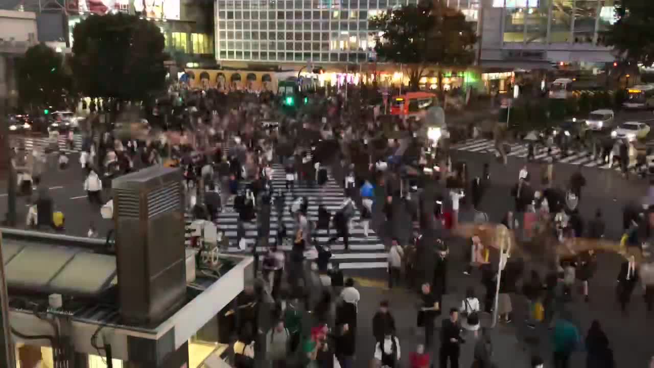 Shibuya traffic light ant swarm