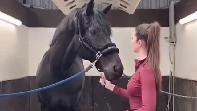 Horse Training For Control - How To Prevent Bucking, Bolting And Violent Spooking