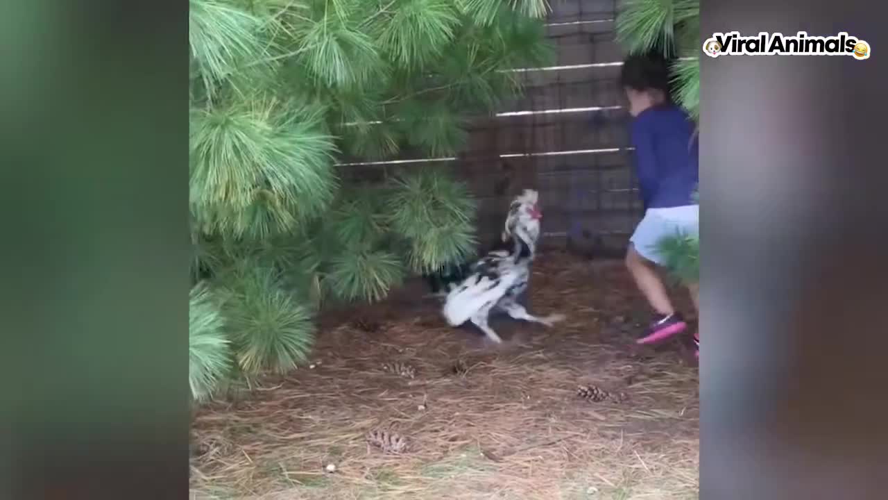 🔝 CHILDREN WITH SUDDEN ANIMALS FUNNY 🌟 2020 VIRAL 🌟 HD FUNNY VIDEOS OF 2021 🐶🔝 IF YOU RISK YOU LOSE