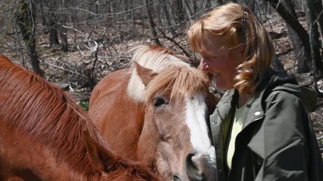 Horse video girl caring horse , lover horse