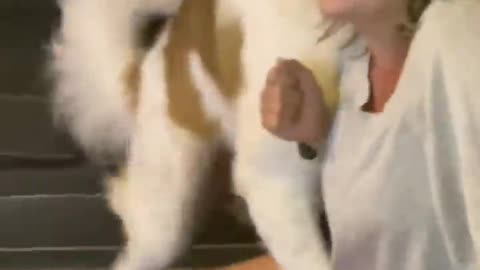 The dog kisses her hard