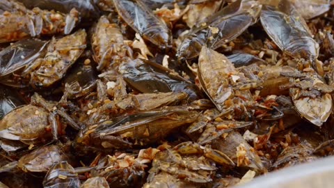 Entrepreneur Woman: Selling Tarantulas in the Local Market