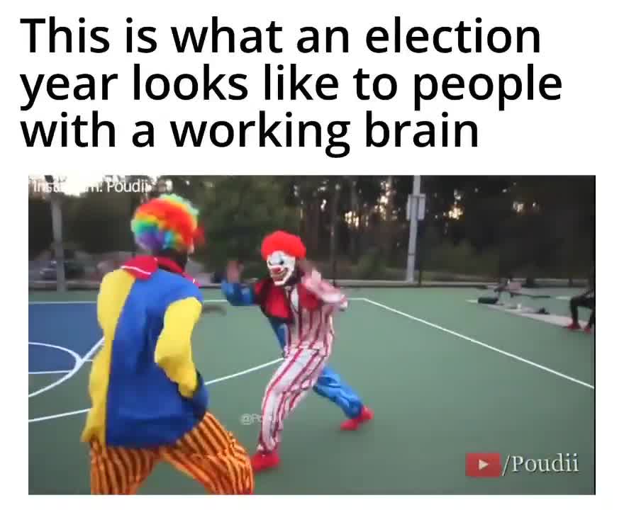 Politics - 2022 Understanding US Elections Funny