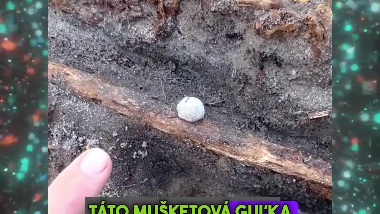 Objav z náleziska