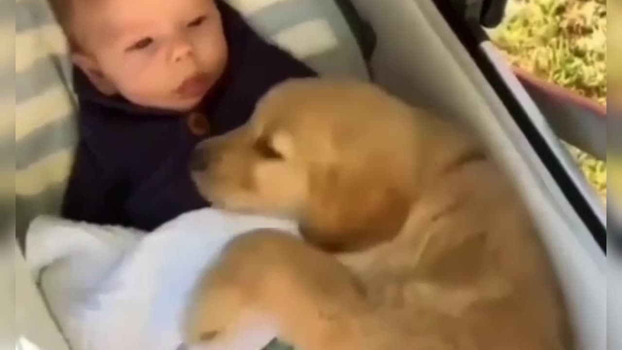 Cute Baby with Animals Don't miss the video.