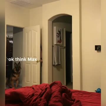 Hey baby you can find him try your best