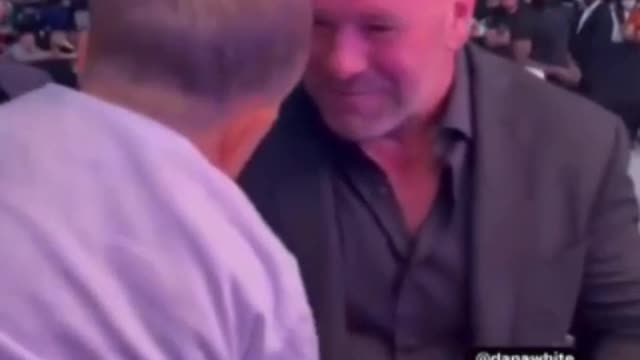 hasbulla meeting dana white