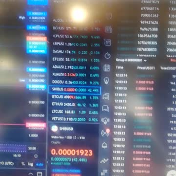 Shiba gooooooo 56 56