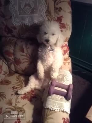 oh boy mommy had me up to early