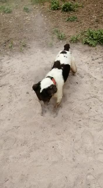 Digging for treasure 😂