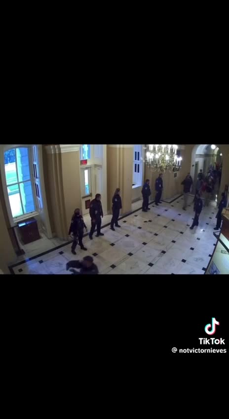#Jan6th video footage Capital Police leading a Tourist Group
