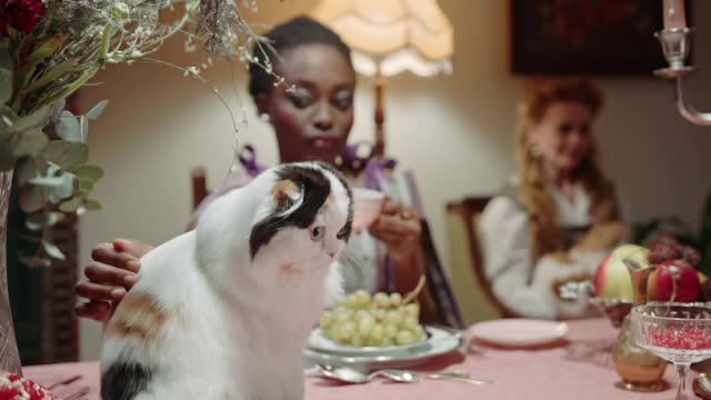 Women Petting Their Cats