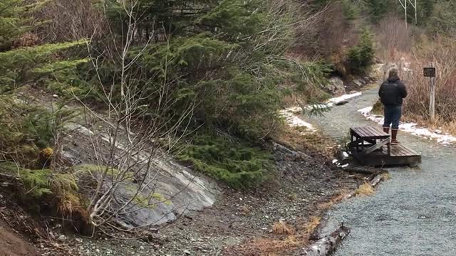 Thimbleberry Lake Trail Two