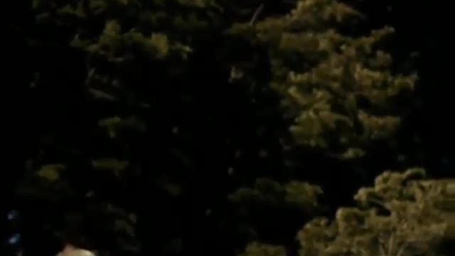 Life Reflection - The Eagle and the Raven - Brazilian