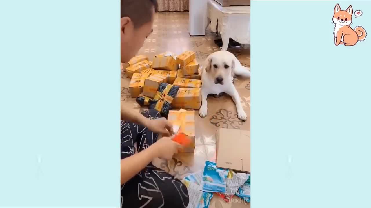 Te reirás de todos los PERROS 🤣 Divertidos Videos DOG 😂🐶