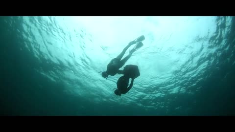 The magic of nature in the sea